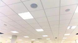 65e73832128135001eda33c2 Dreamstime M 136836480 65e73832128135001eda33c2 Dreamstime M 136836480