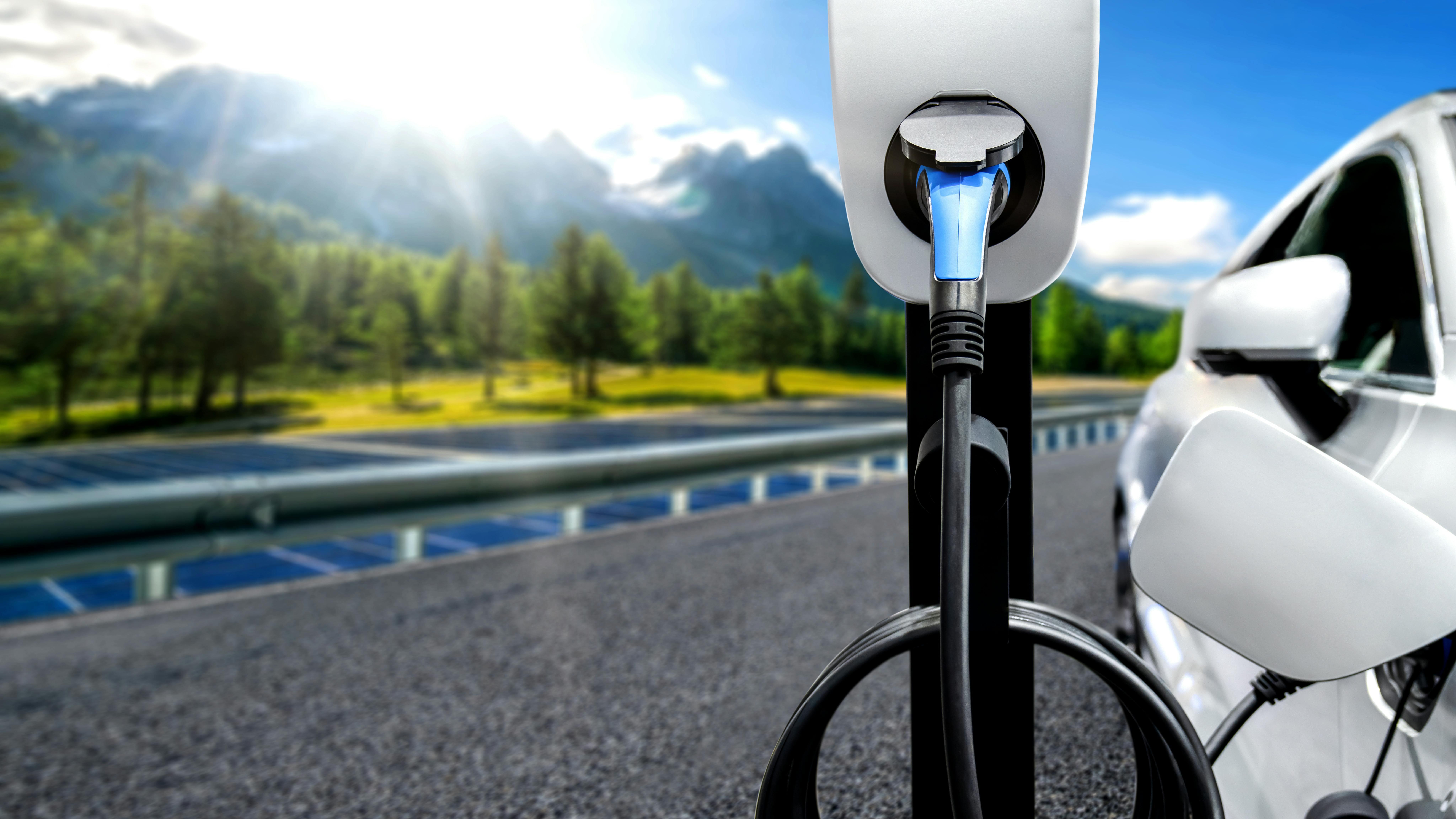 65f46815900de6001e845e51 Dreamstime Xxl 228739546