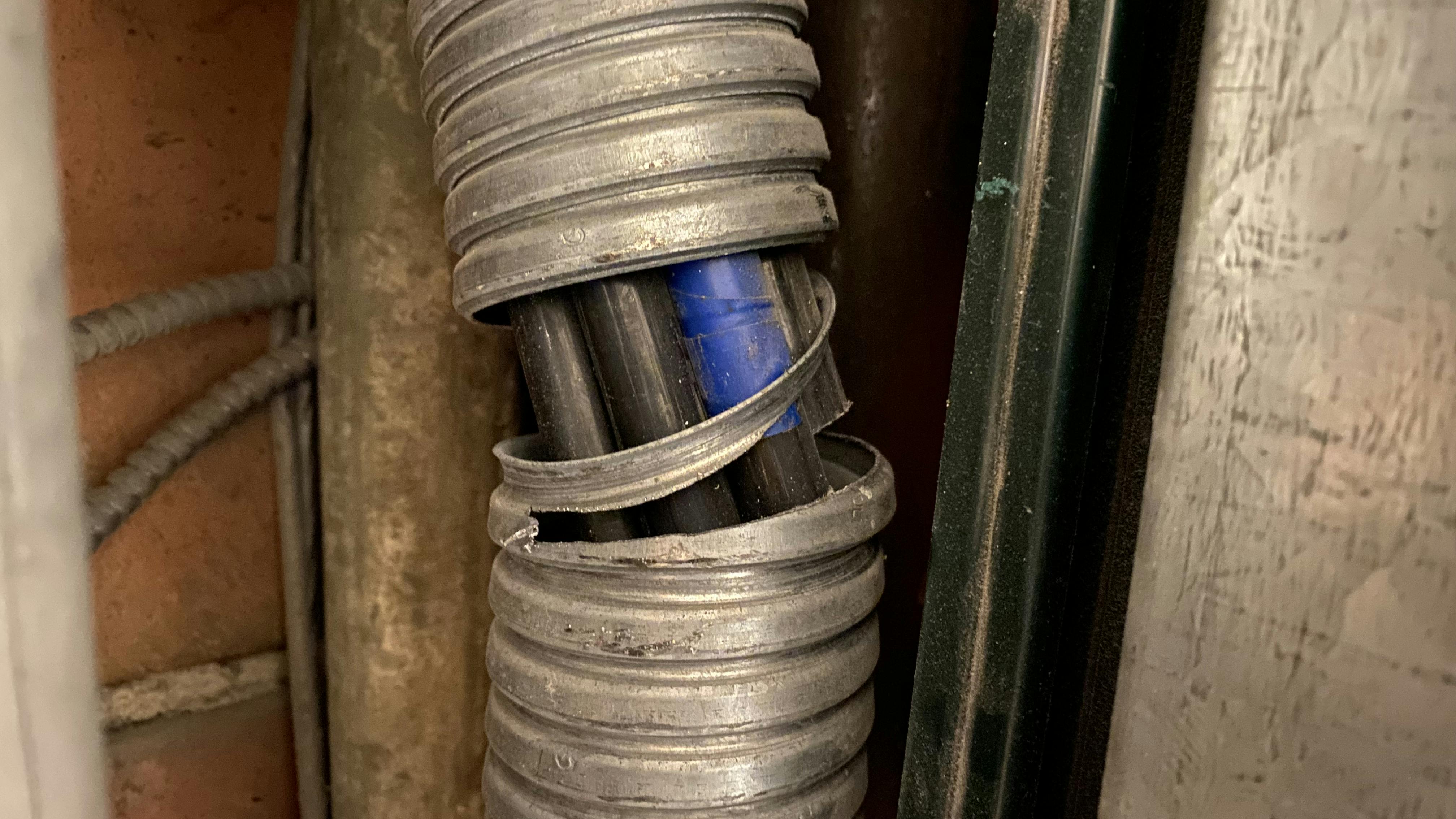 6679a65944387d2b3bfa6861 Illustrated Catastrophe 1