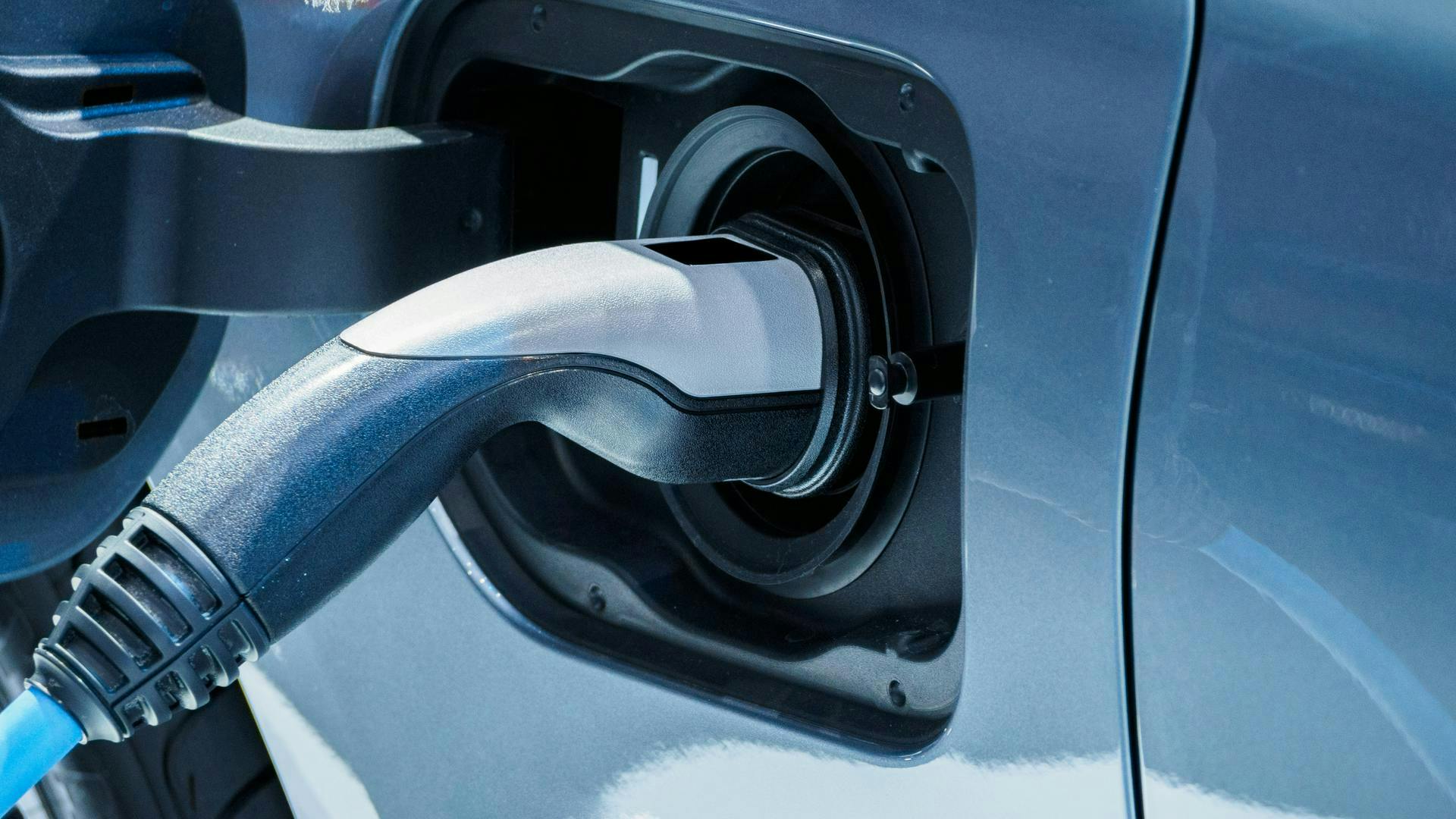 66a7abd5268e5dc49f704147 Dreamstime L 116265799