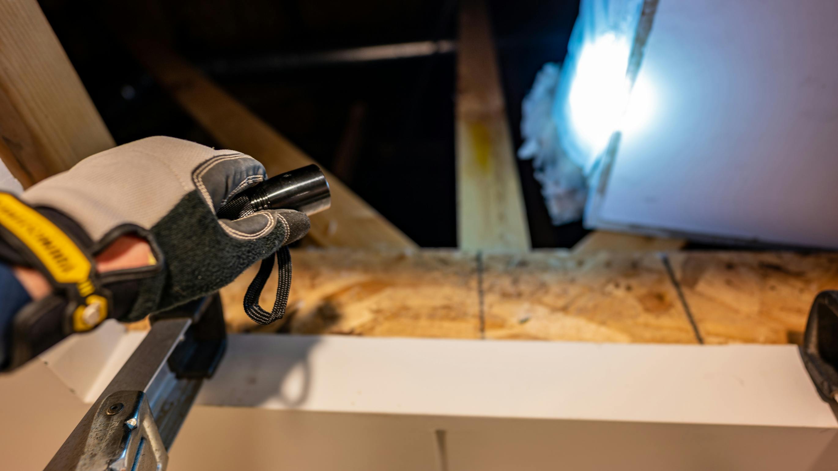 66abaff1c8520144532cd446 Dreamstime L 228321812