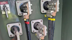 66ce09c6bee56ce9805fc647 Figure 2 66ce09c6bee56ce9805fc647 Figure 2