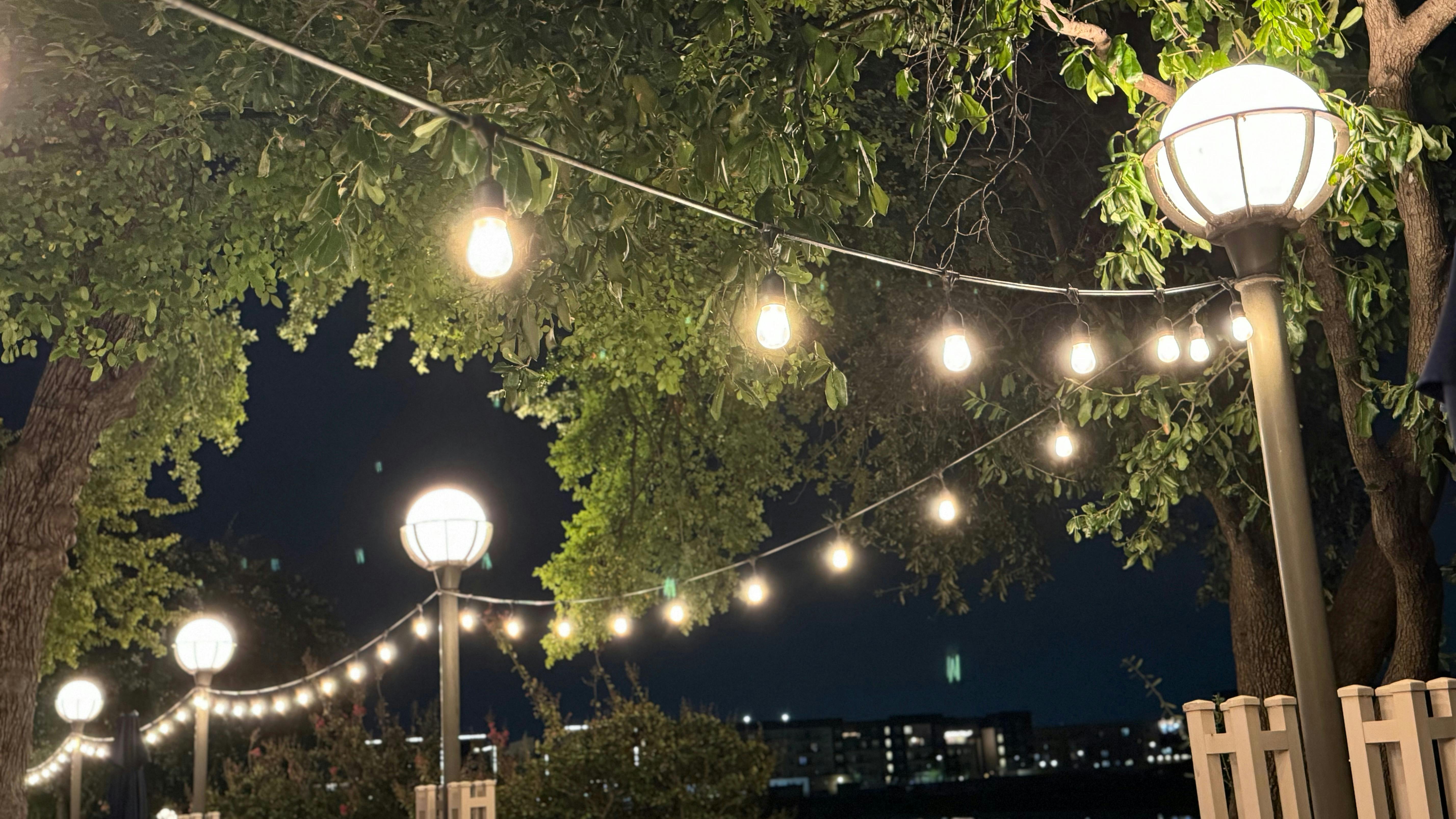 66e1f063000cbf4c182717bf Img 7419 2