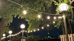 img_7419_2 img_7419_2