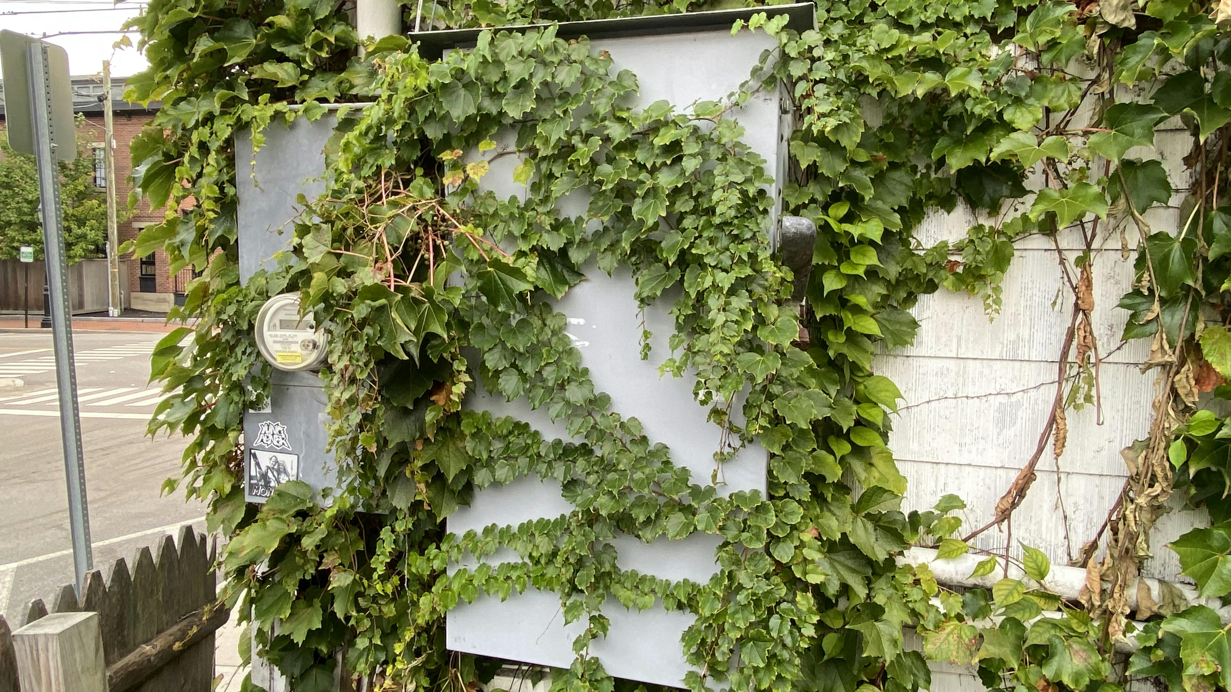 Illustrated Catastrophes: A Disappearing Act