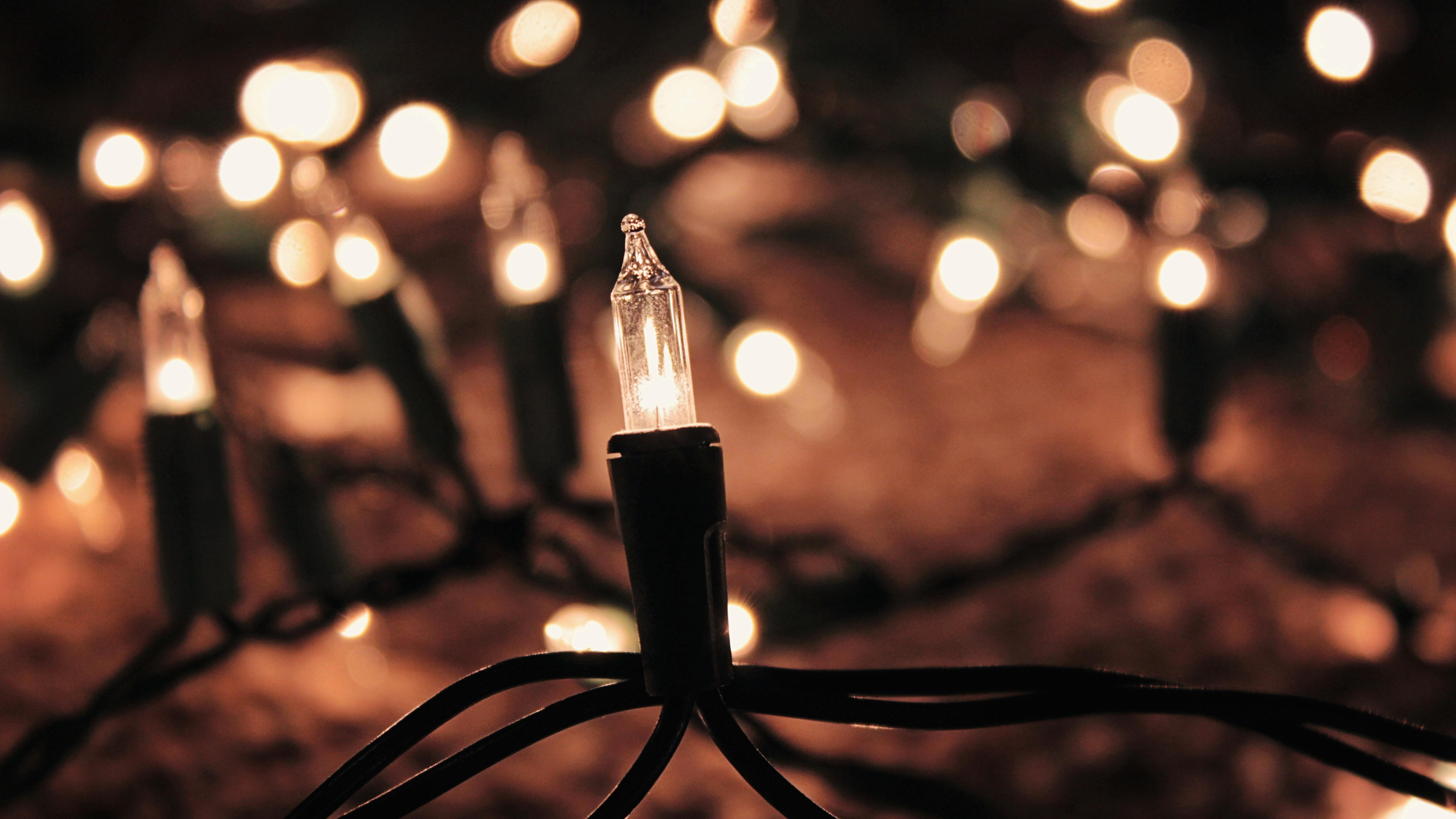 EC&M Quiz Nov/Dec Quiz: Holiday Lighting and the NEC