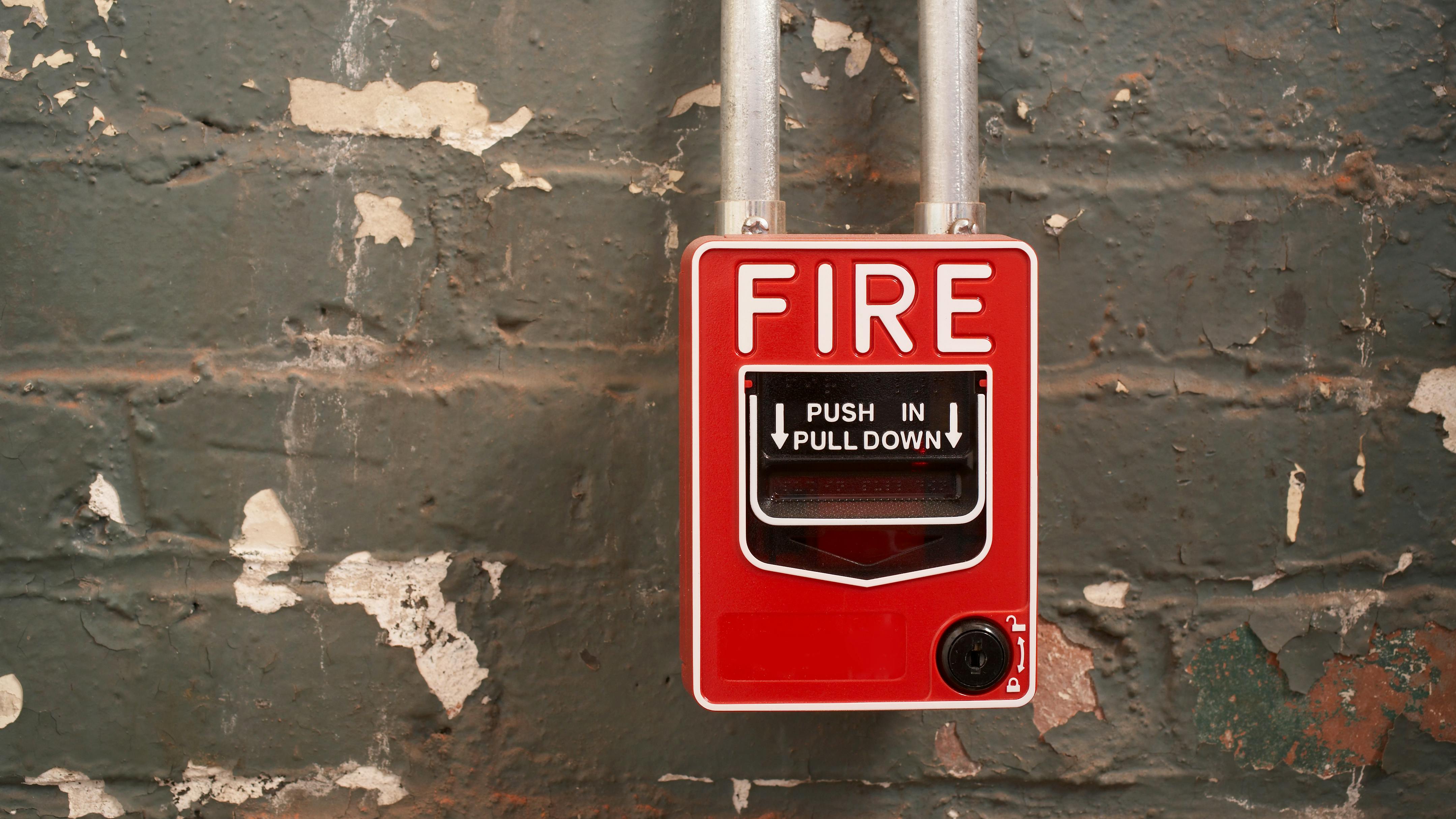 dreamstime_xxl_8293979