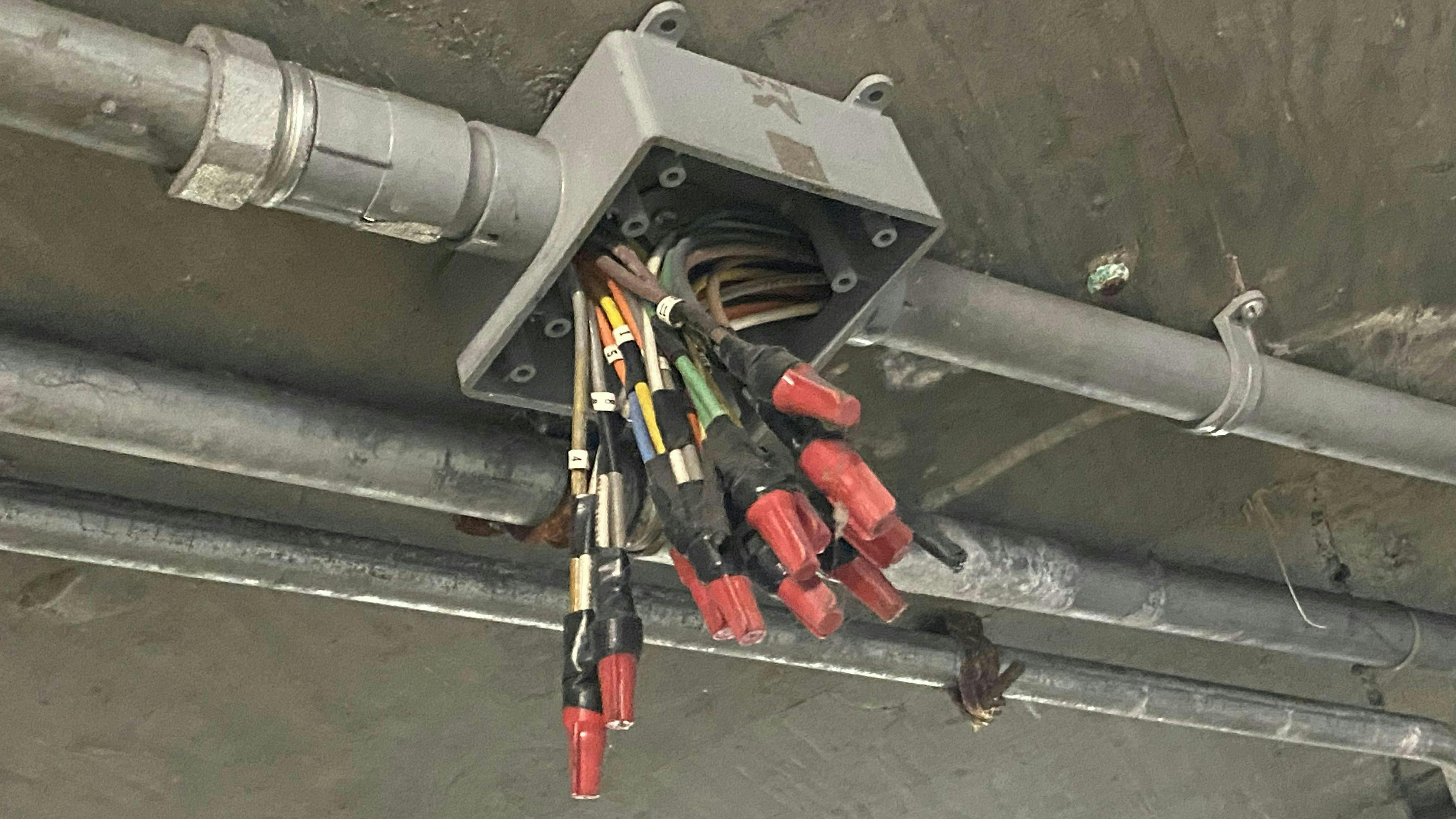 664f5aeea9ea9c7c3fef81ccapril_wwh