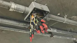 6761a4ec17e4da4300f36411 664f5aeea9ea9c7c3fef81ccapril Wwh 6761a4ec17e4da4300f36411 664f5aeea9ea9c7c3fef81ccapril Wwh