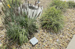 A not-so-underground installation A not-so-underground installation