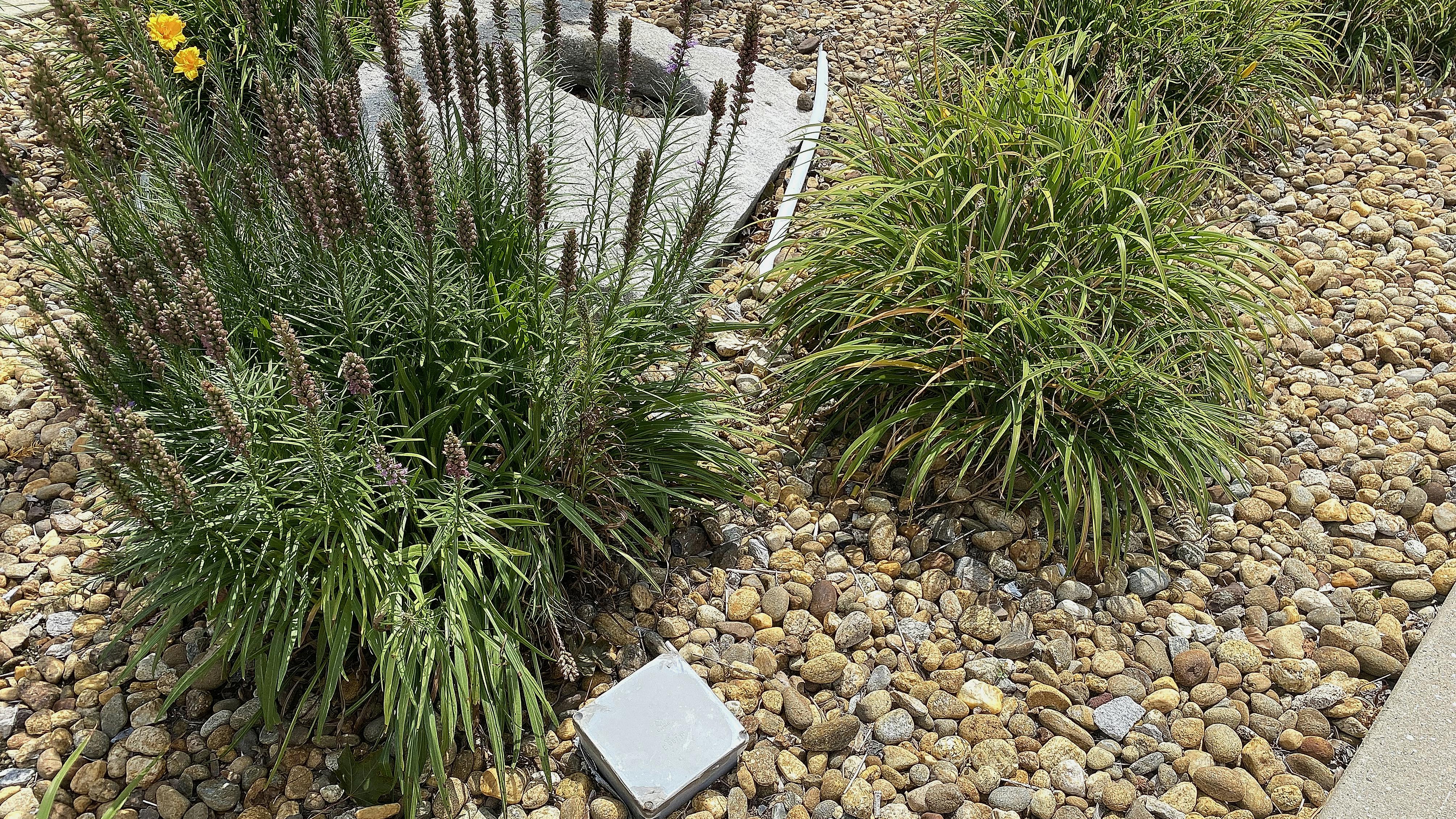 67658da00cf800a7ae411345 Code Watch 2