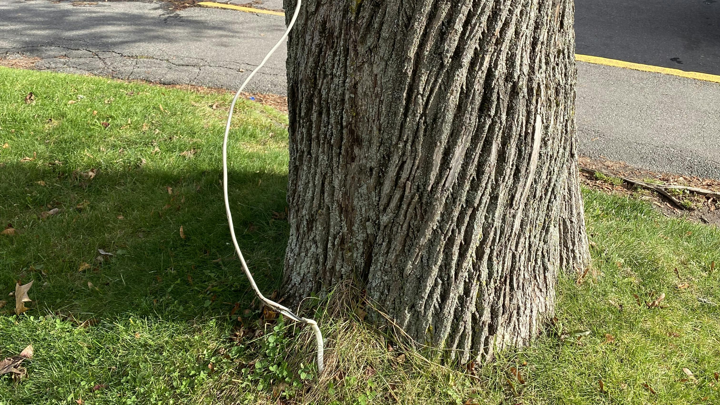 6797b299bbb0fa5fe5ca3fe6 Illustrated Catastrophe 1