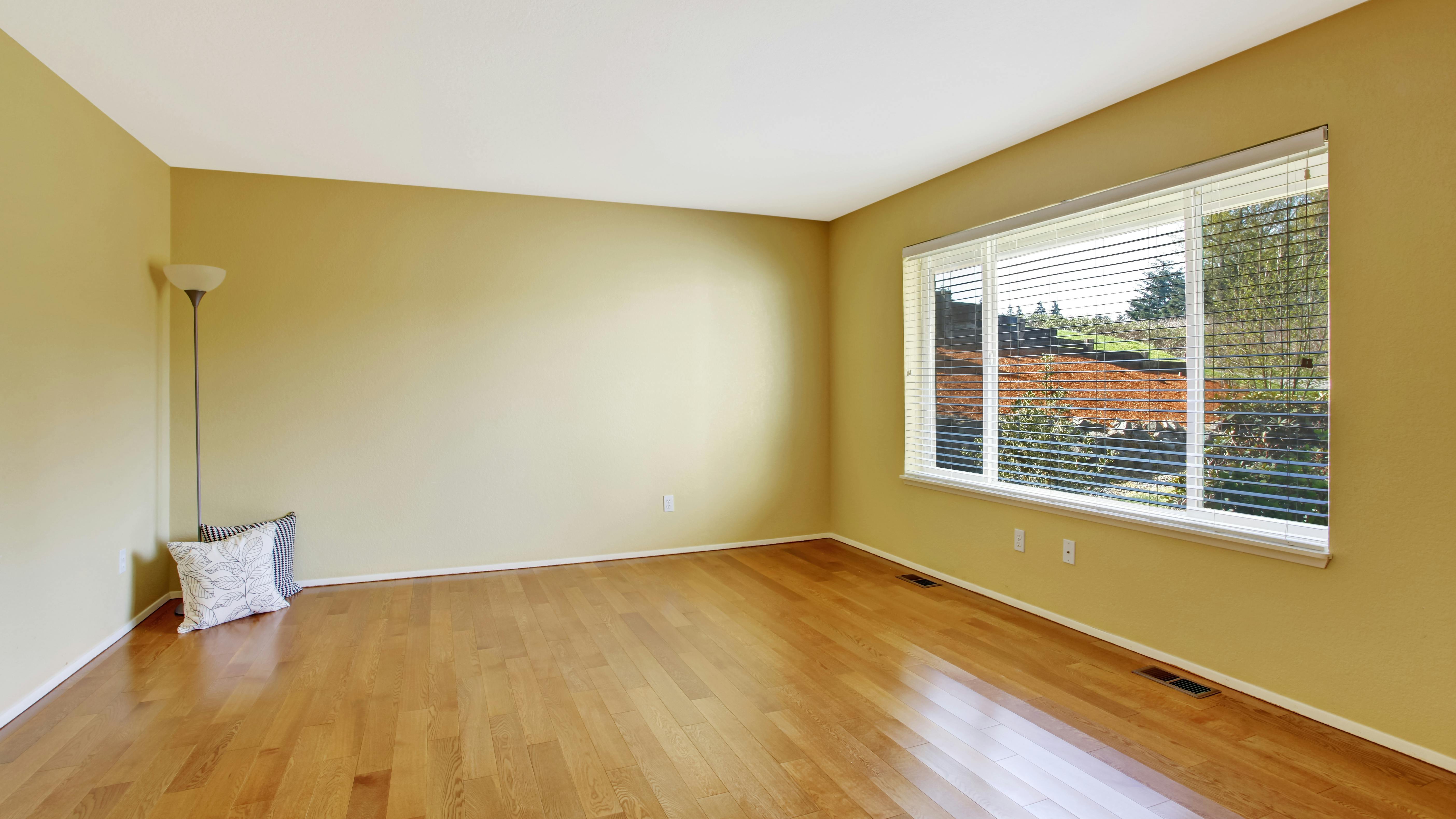 67bf3537f863de8b28811c3a Dreamstime Xxl 42624767