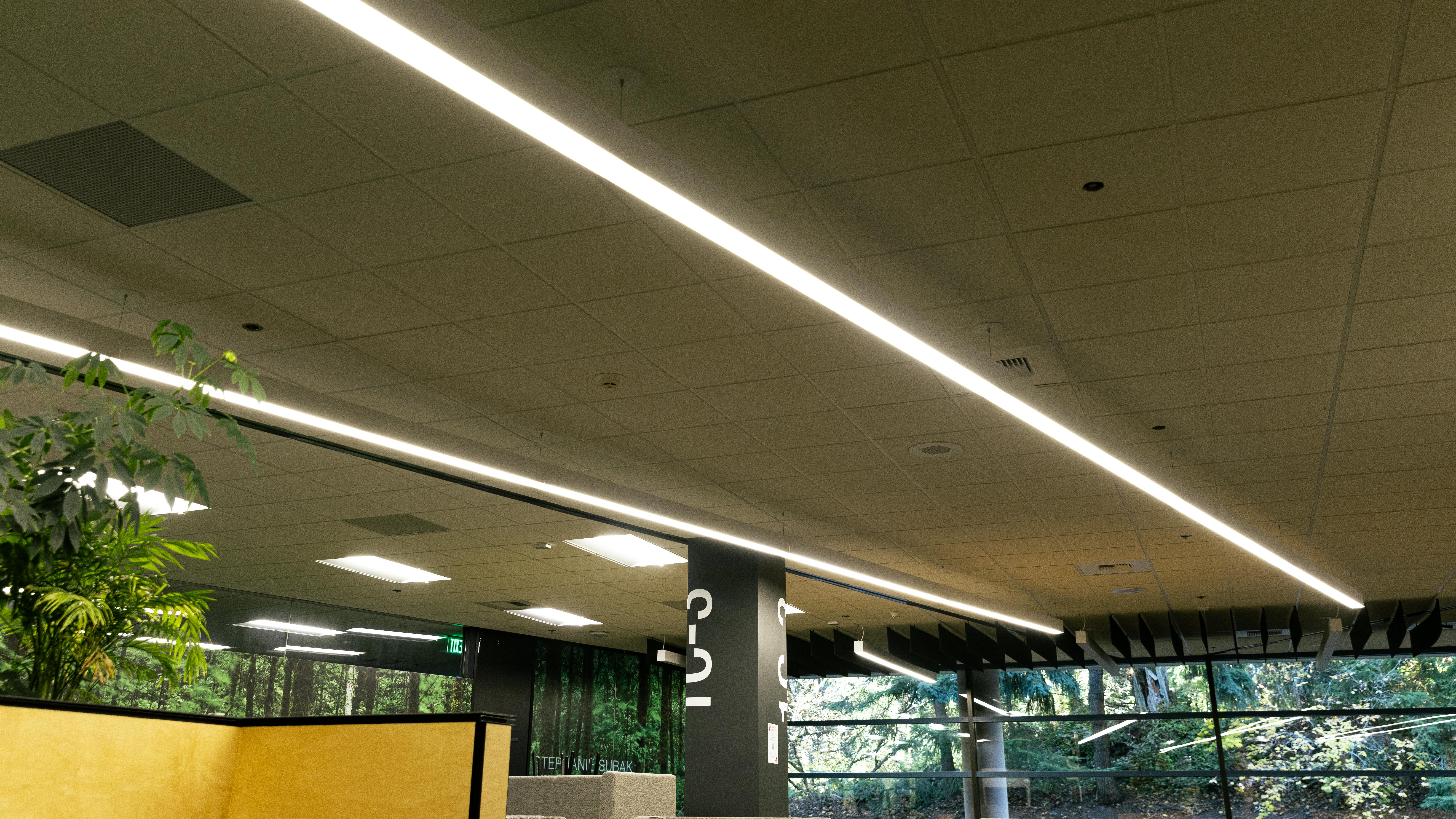 67e6c8afc90d41f49a8559e0 Neea Lighting 0624