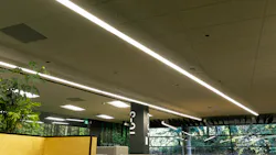 67e6c8afc90d41f49a8559e0 Neea Lighting 0624 67e6c8afc90d41f49a8559e0 Neea Lighting 0624