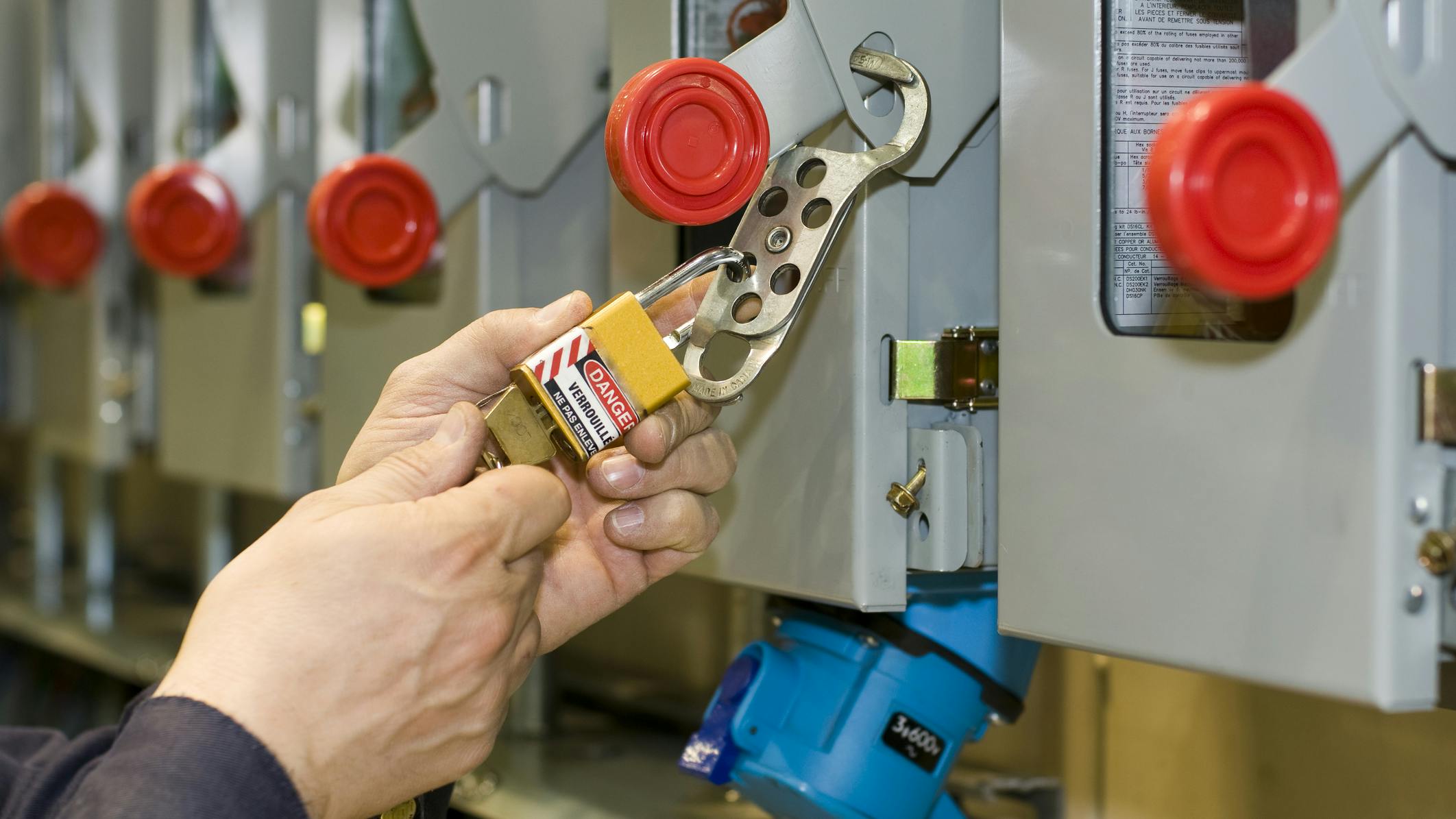 67eef2da506cb4fdee48c668 Dreamstime M 8801792 2