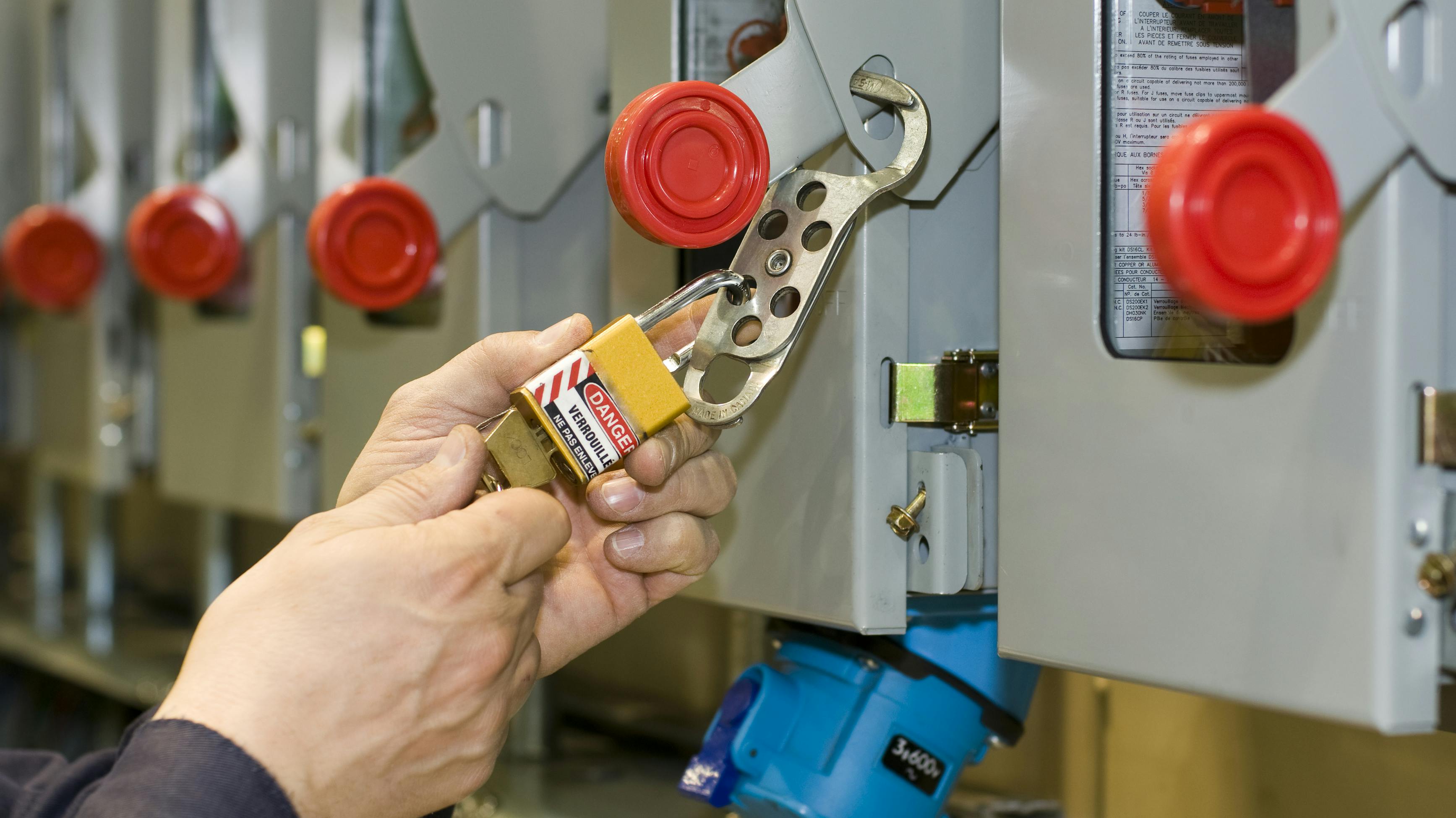 6810eaec644b0ec906ed3ddf Dreamstime Xl 8801792