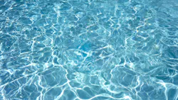 68a4cd23249a413279e8068d Dreamstime Xxl 44894527 68a4cd23249a413279e8068d Dreamstime Xxl 44894527