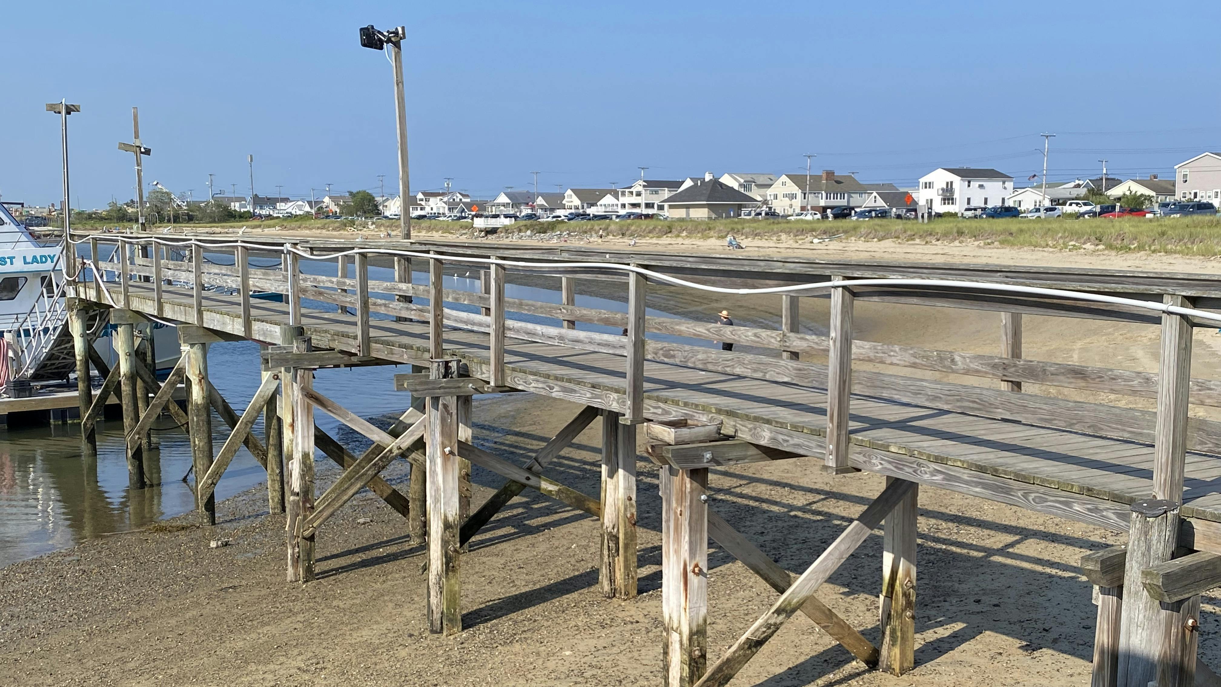 68fa79e1a7e5541f737e1d40 Illustrate Catastrophe 1