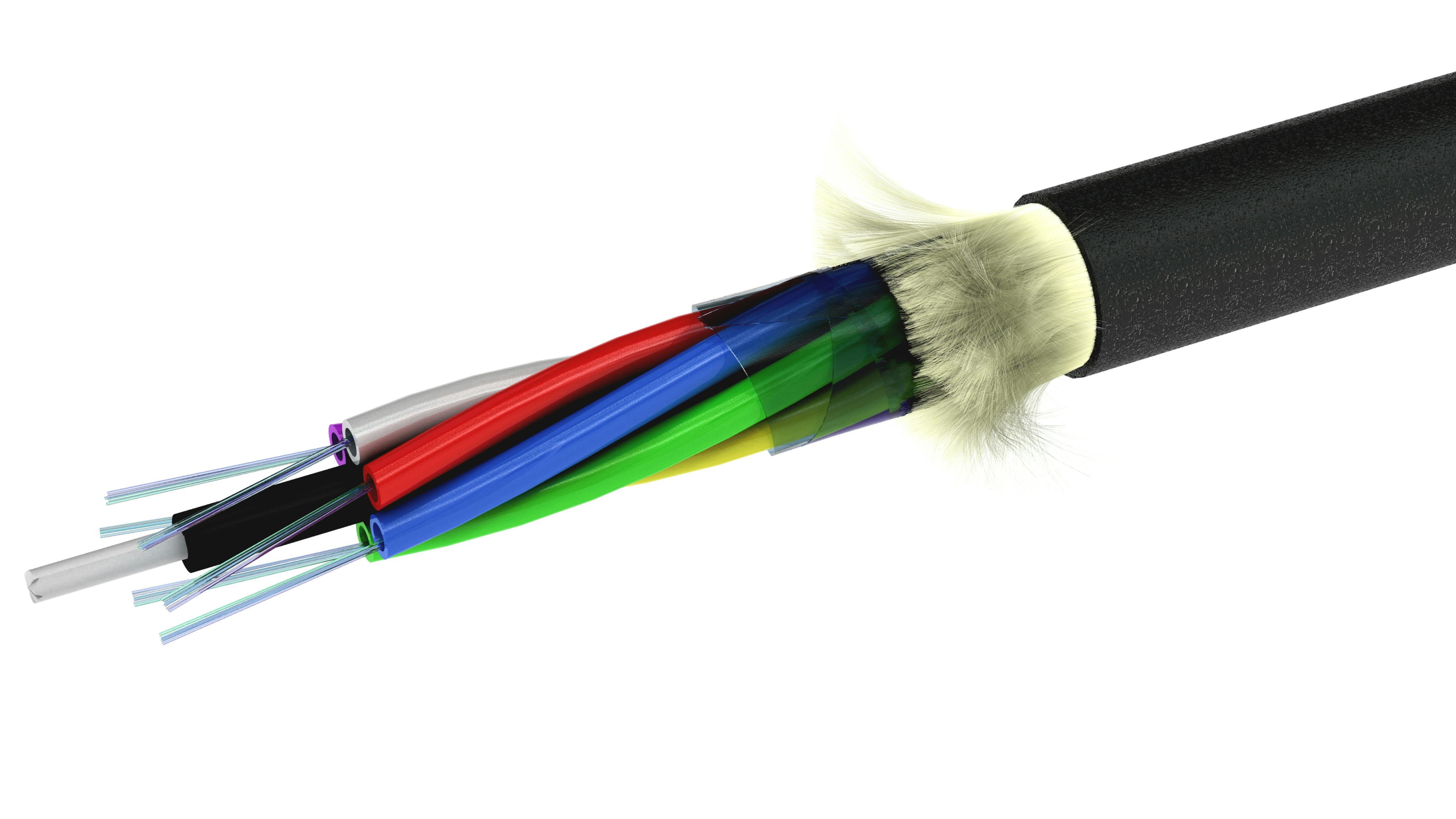 dreamstime_xxl_29373948