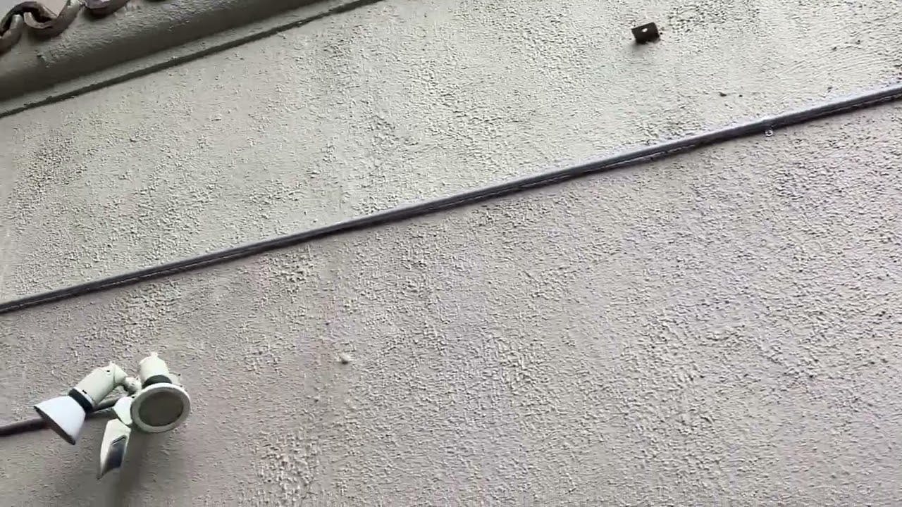 The Most Memorable Moving Violations Videos of 2025