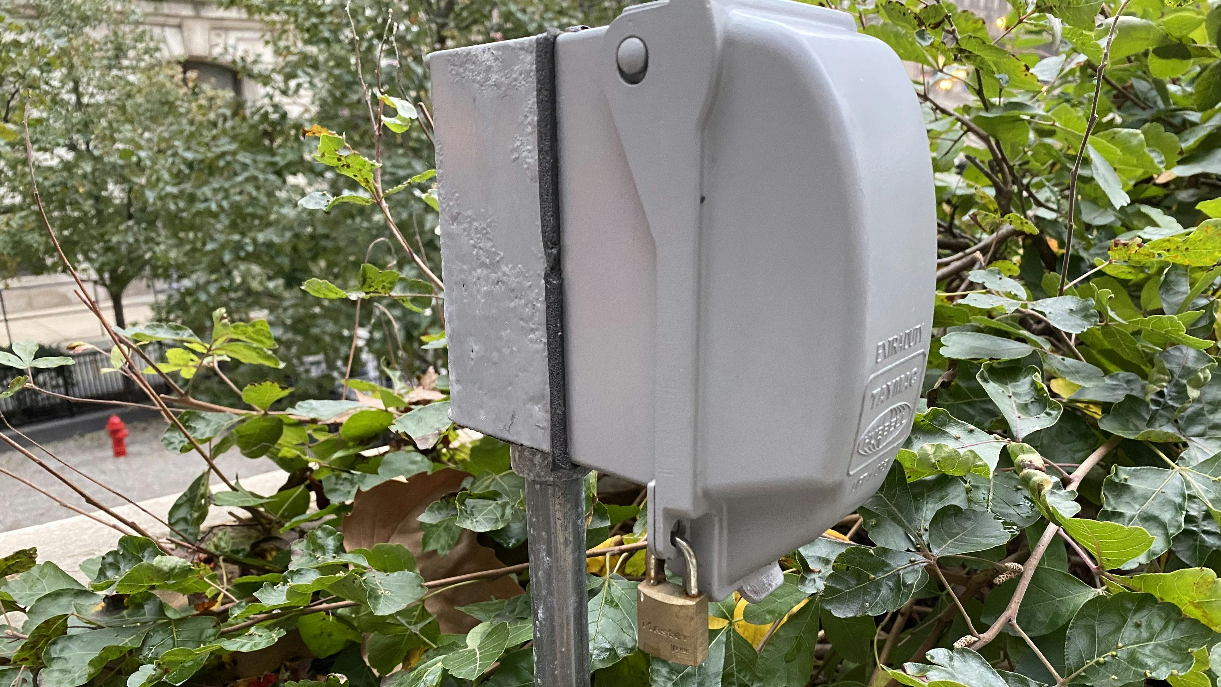 A great flamingo imitation wwh jan226