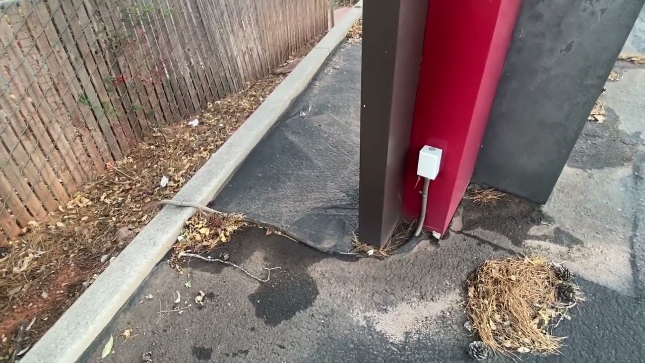 Moving Violations Video No