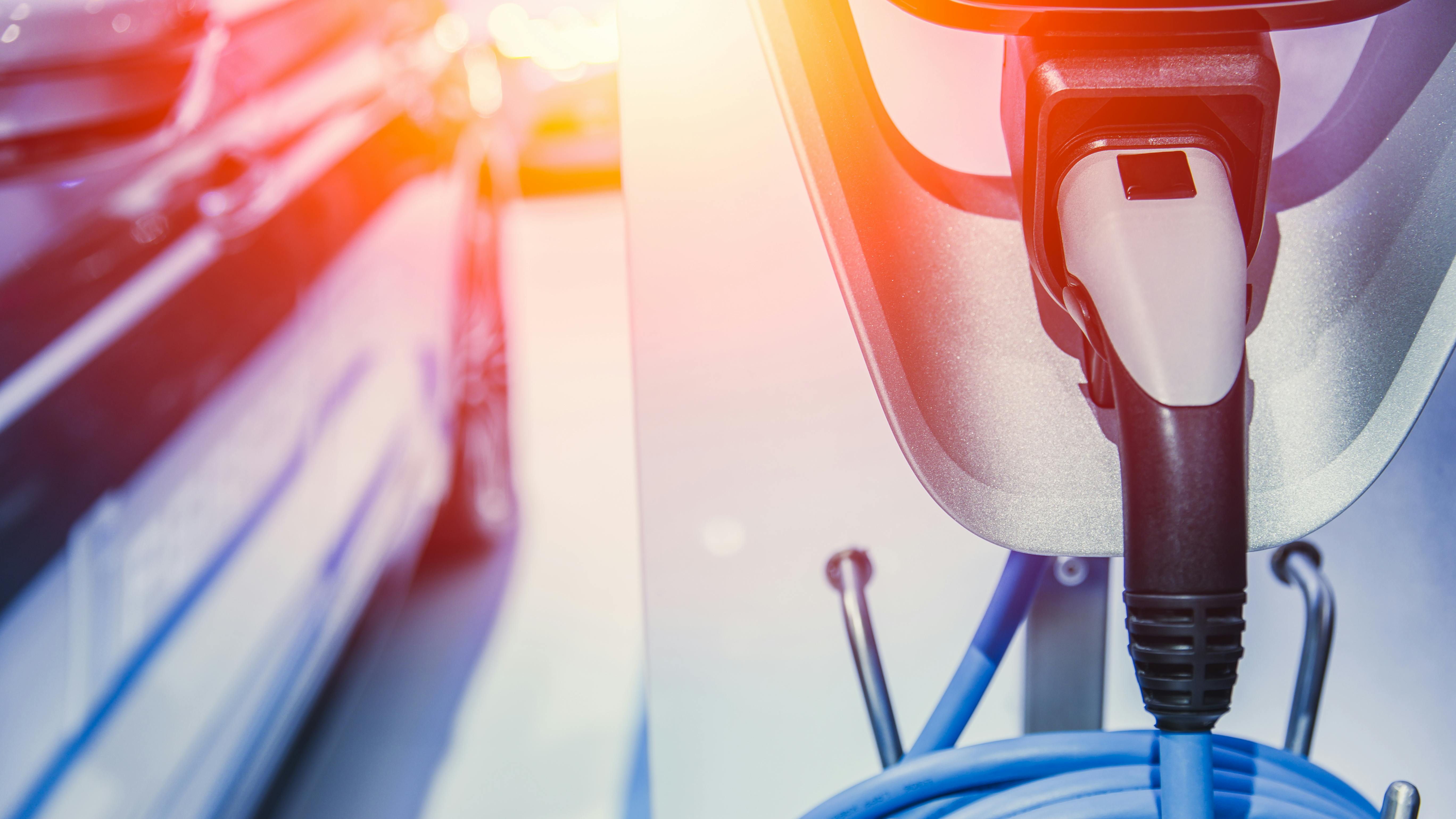 69d3d0690fa7f99c4639c3eb Dreamstime Xxl 115192453