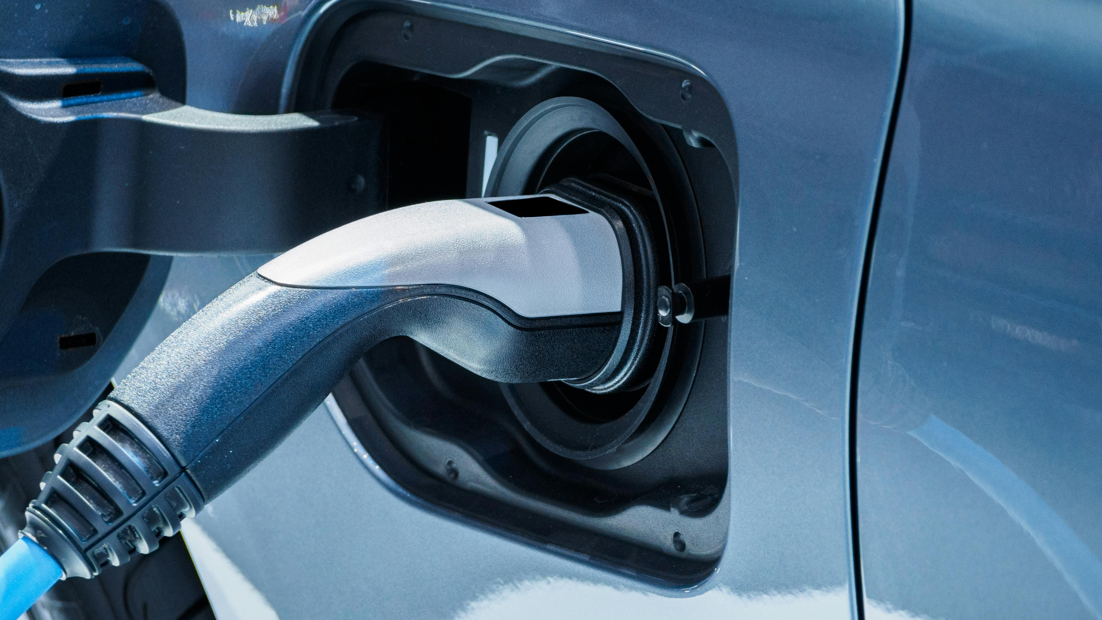 69d559255db3dc7574092b62 Dreamstime Xxl 116265799