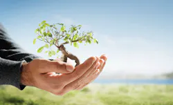 Climate Counts rated the top consumer brands for their sustainability efforts The top six companies are Unilever Nike UPS Levi Strauss amp Co LrsquoOreal and AB Electrolux Climate Counts rated the top consumer brands for their sustainability efforts The top six companies are Unilever Nike UPS Levi Strauss amp Co LrsquoOreal and AB Electrolux