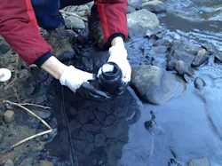 Water Quality Specialist Erin Savage takes samples at a coal slurry spill in Fields Creek Kanawha County WVa Photo by Matt Wasson Appalachian Voices Water Quality Specialist Erin Savage takes samples at a coal slurry spill in Fields Creek Kanawha County WVa Photo by Matt Wasson Appalachian Voices