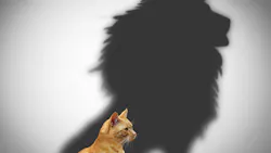 transformational leader transformational leader