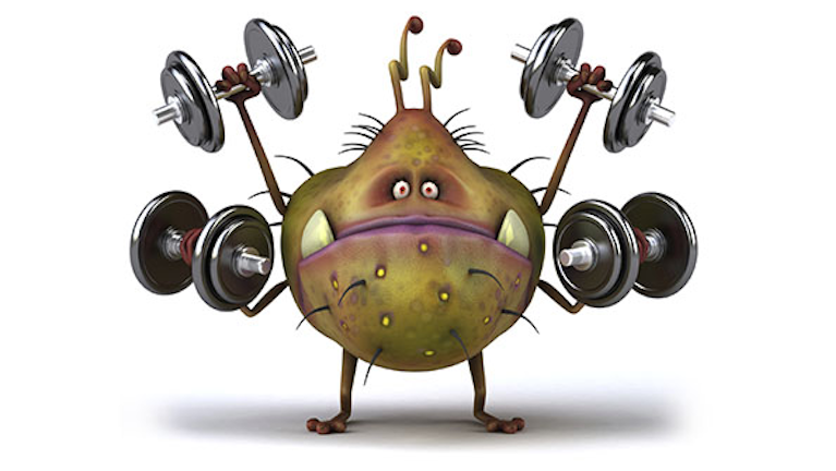 Meeting Germs At The Gym Infographic Ehs Today Images, Photos, Reviews