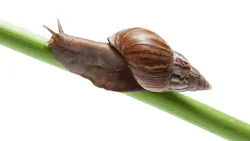 OSHA slow standards setting process OSHA slow standards setting process