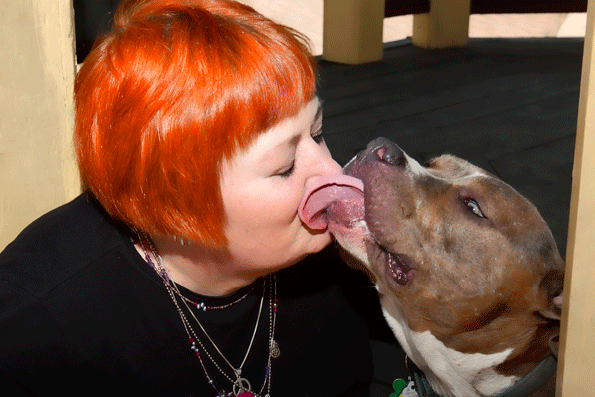 My dog Meatball provides me with stress release on a daily basis