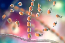 valleyfever.jpg valleyfever.jpg