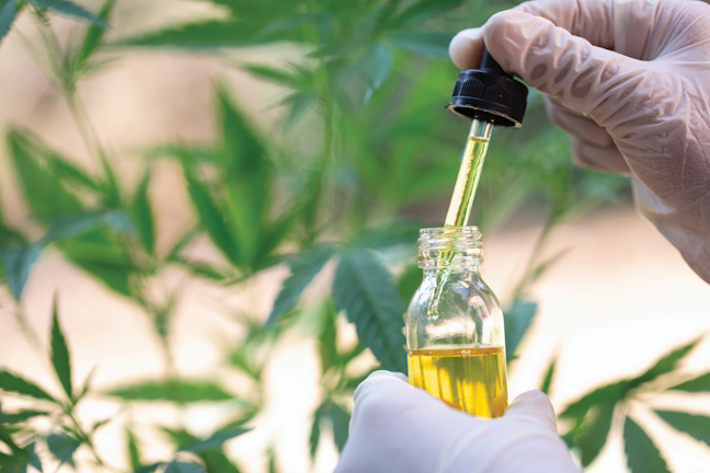 Dank Dilemma The Unregulated Cbd Market And Drug Testing Ehs Today