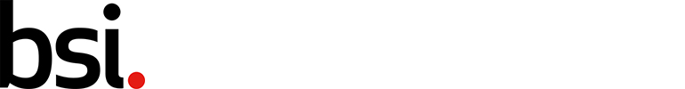 Bsi300w