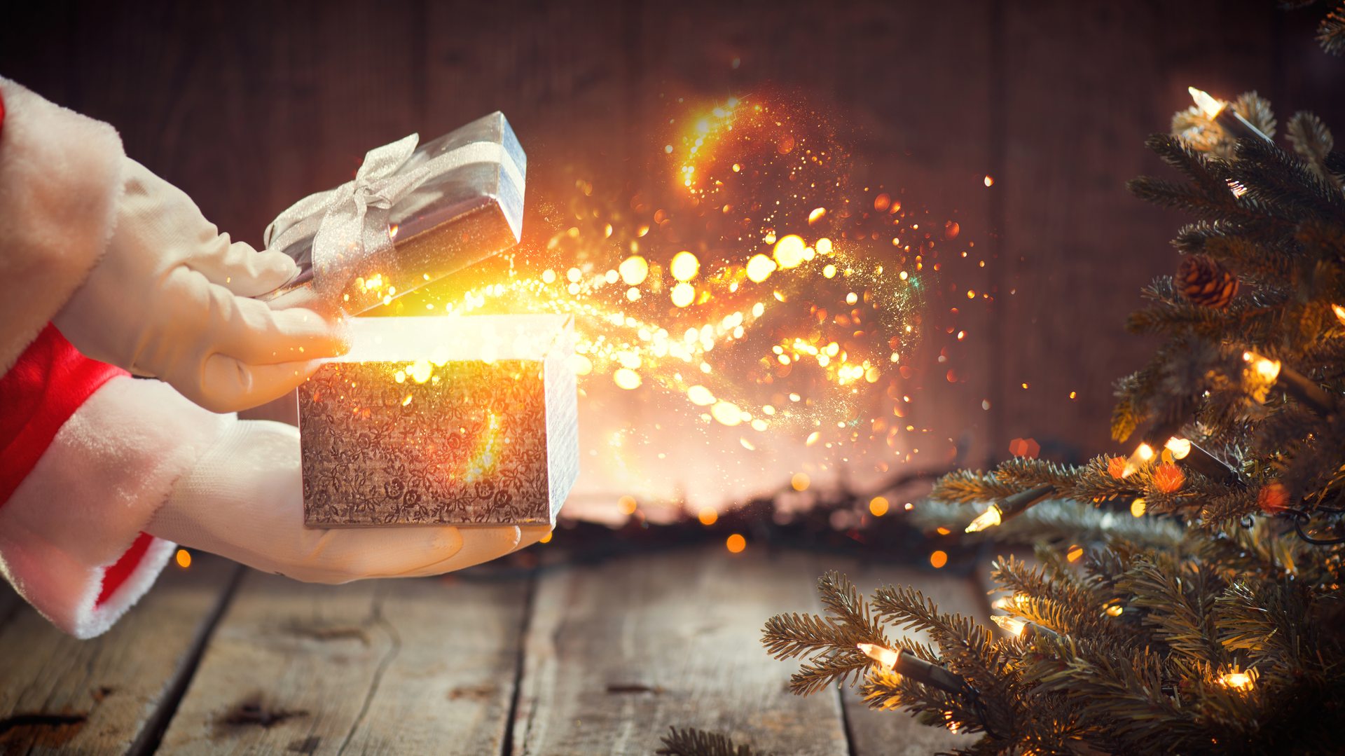 Dreamstime L 102798400 5fe3b79771638