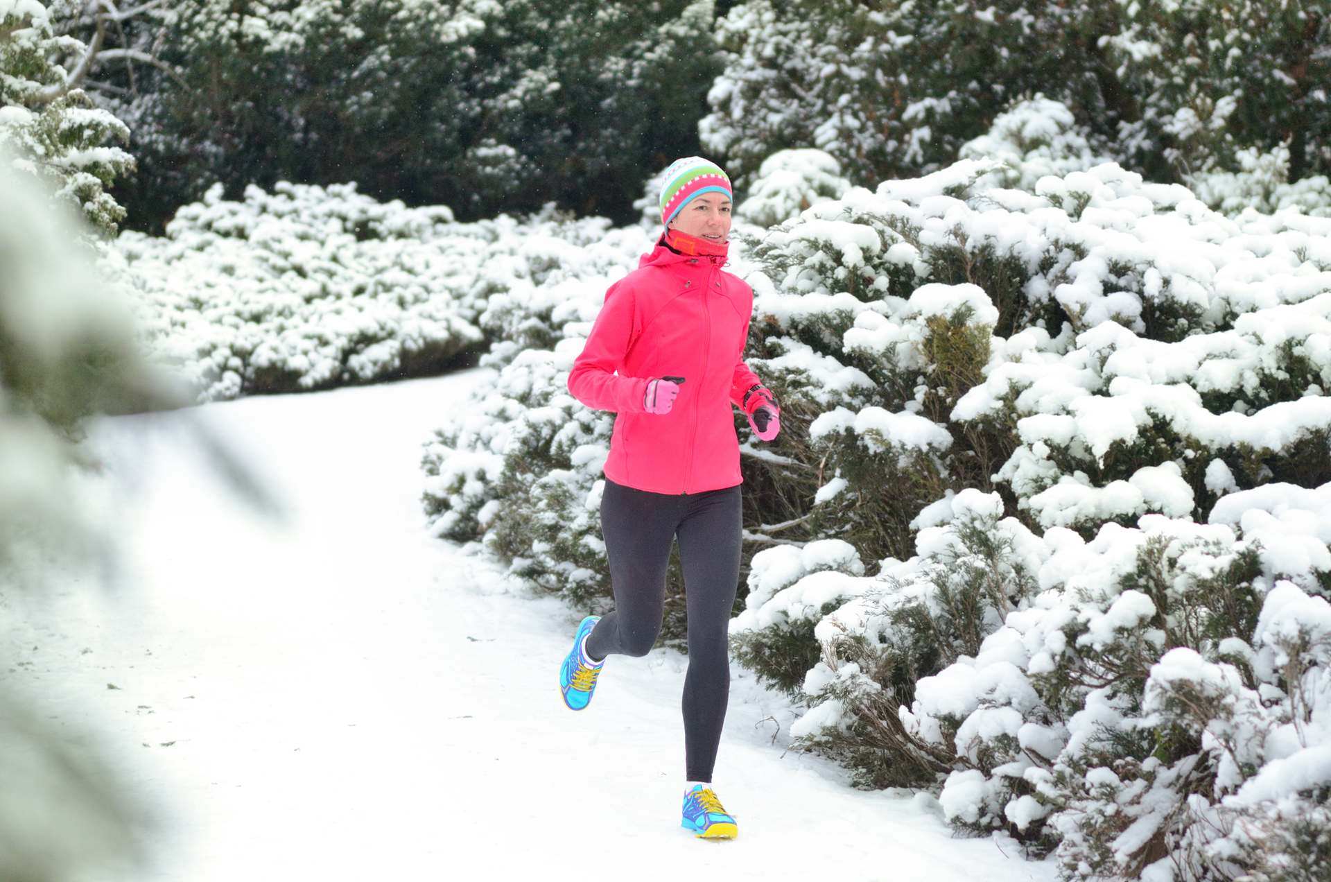 Dreamstime L 183915421 60390d69aaa76