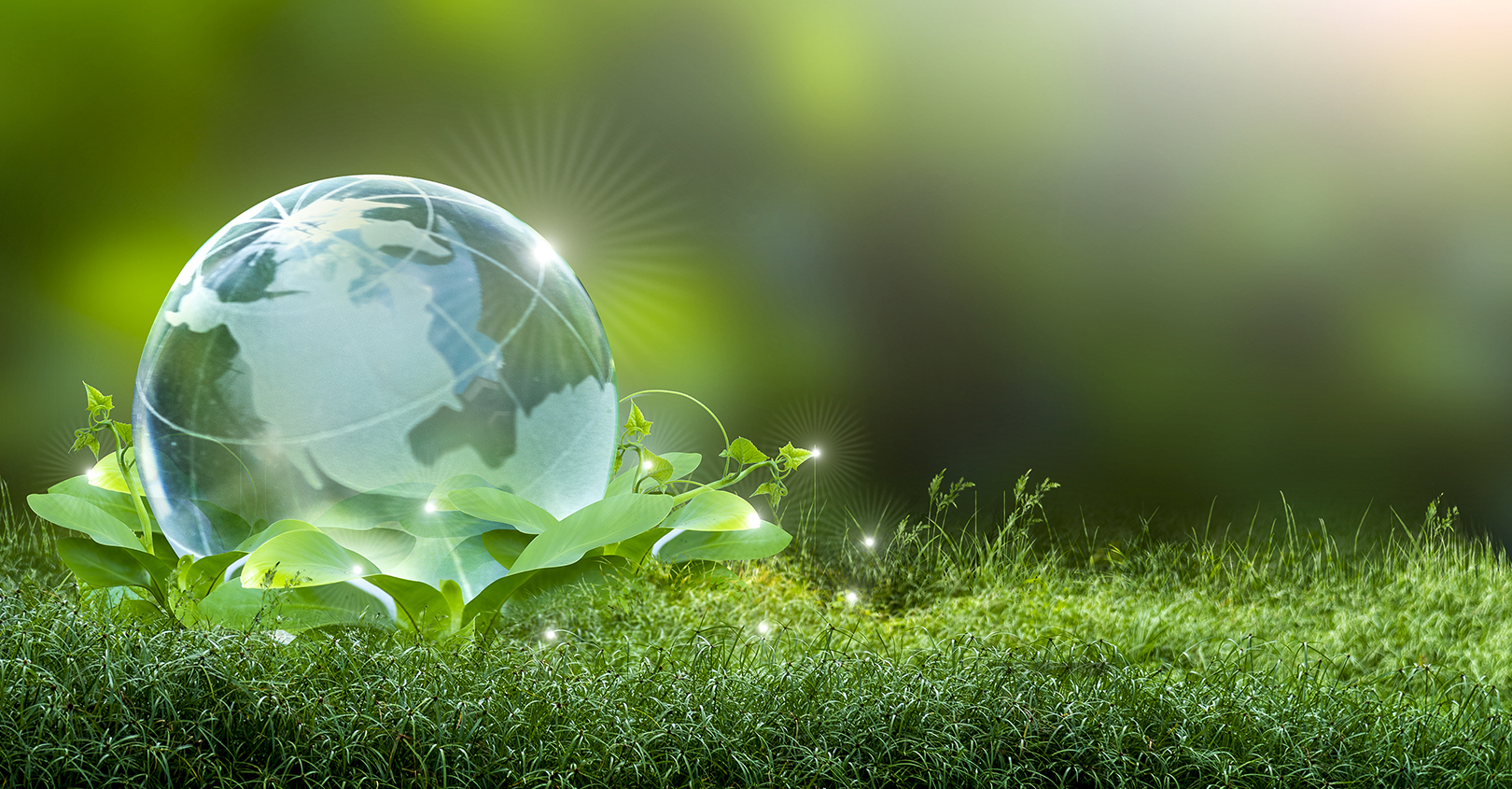 Earth Day 2021 60819a0466df3