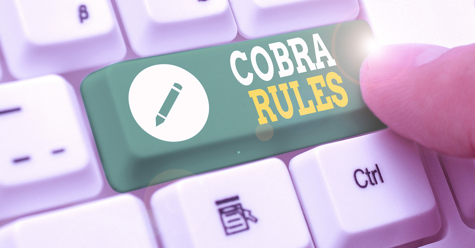 Cobra Rules 60c2db0e13aa7