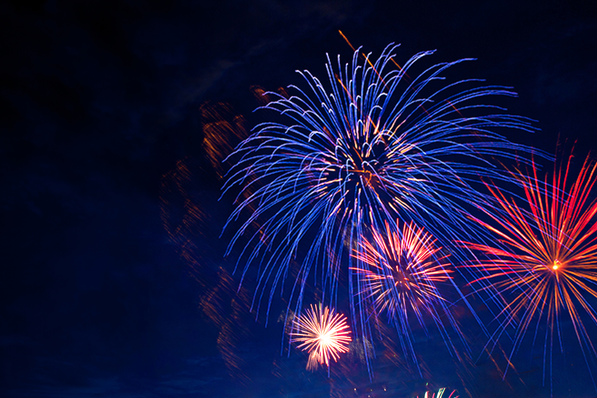 Dreamstime L 116754848