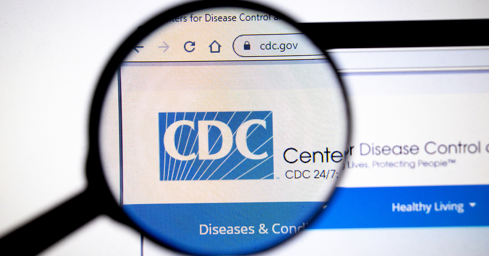 Cdc Website