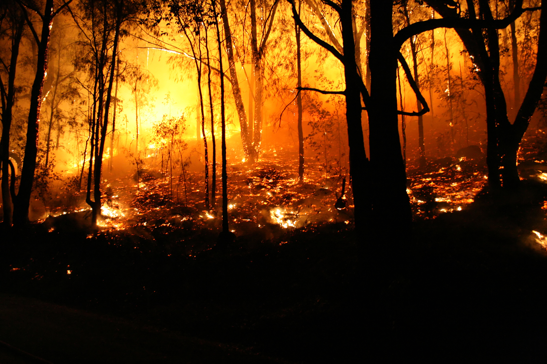 wildfire_emergency_disaster_preparedness_planning
