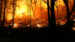 wildfire_emergency_disaster_preparedness_planning wildfire_emergency_disaster_preparedness_planning