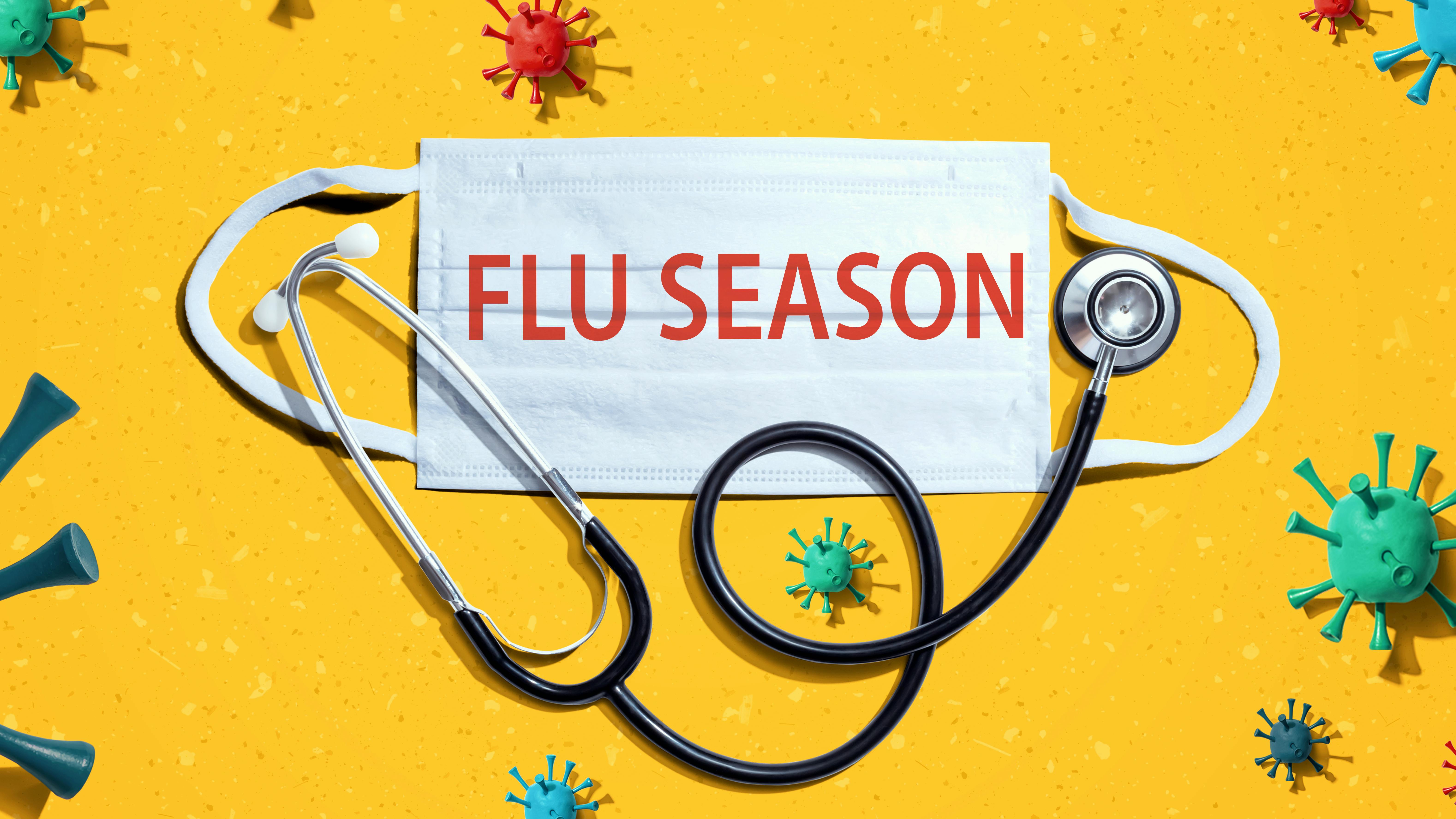 65aee93356b7df001dfa319c Flu Season