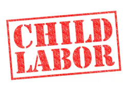 66fd47b0824c778657e8115c Child Labor Chris Dorney 66fd47b0824c778657e8115c Child Labor Chris Dorney