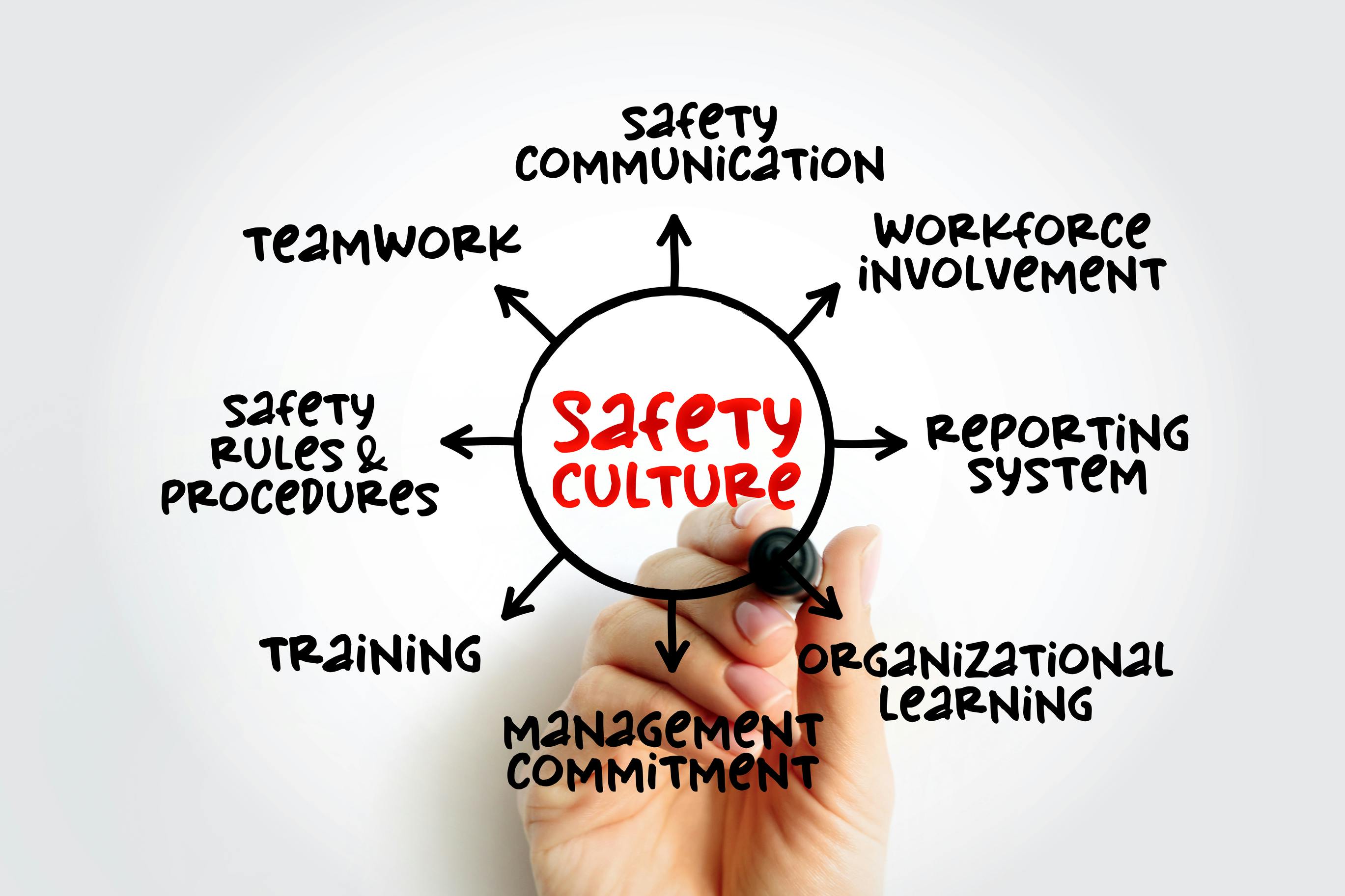 Safety Culture Word Cloud