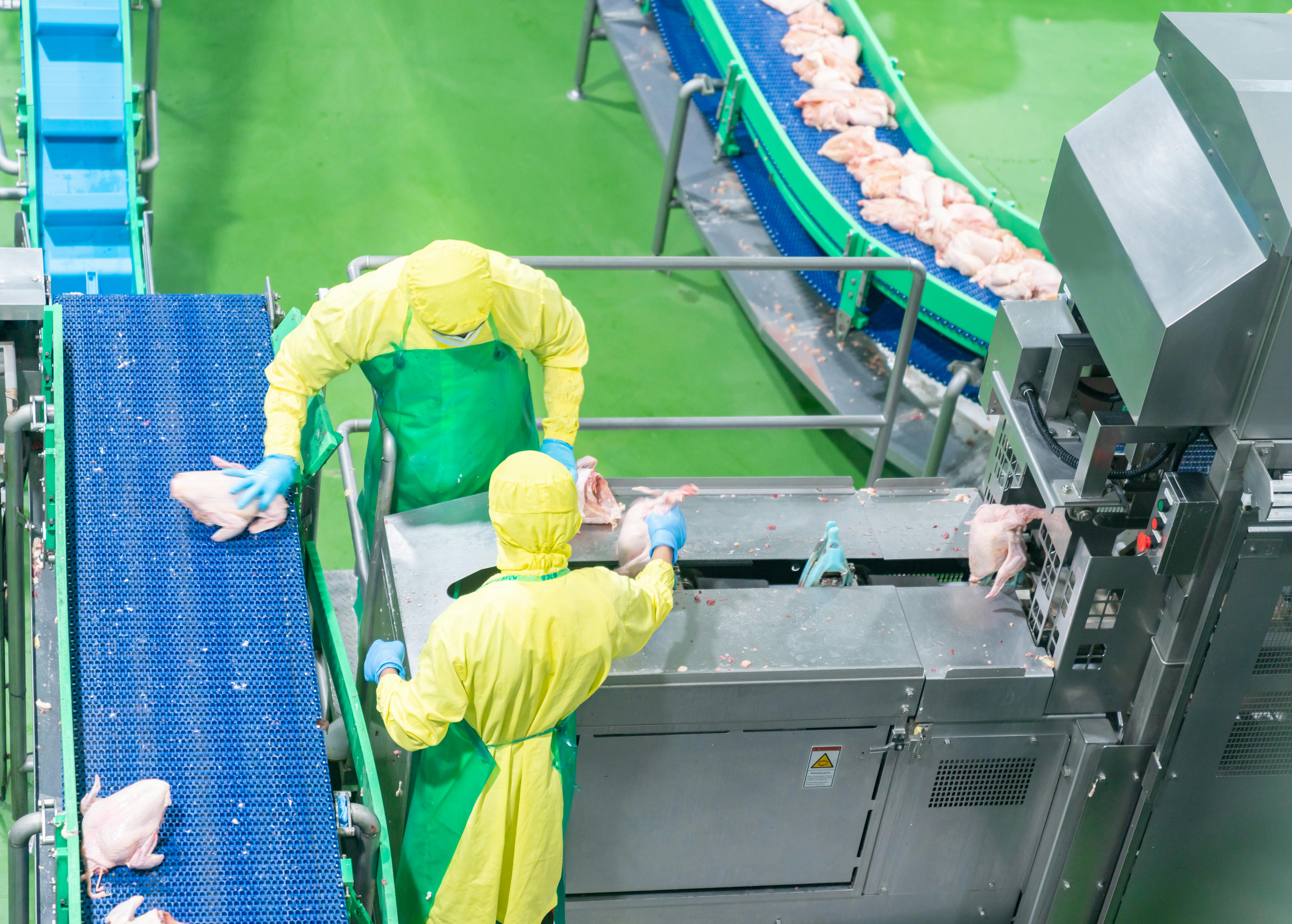 DOL Reaches Agreement with Perdue Farms Over Child Labor Violations